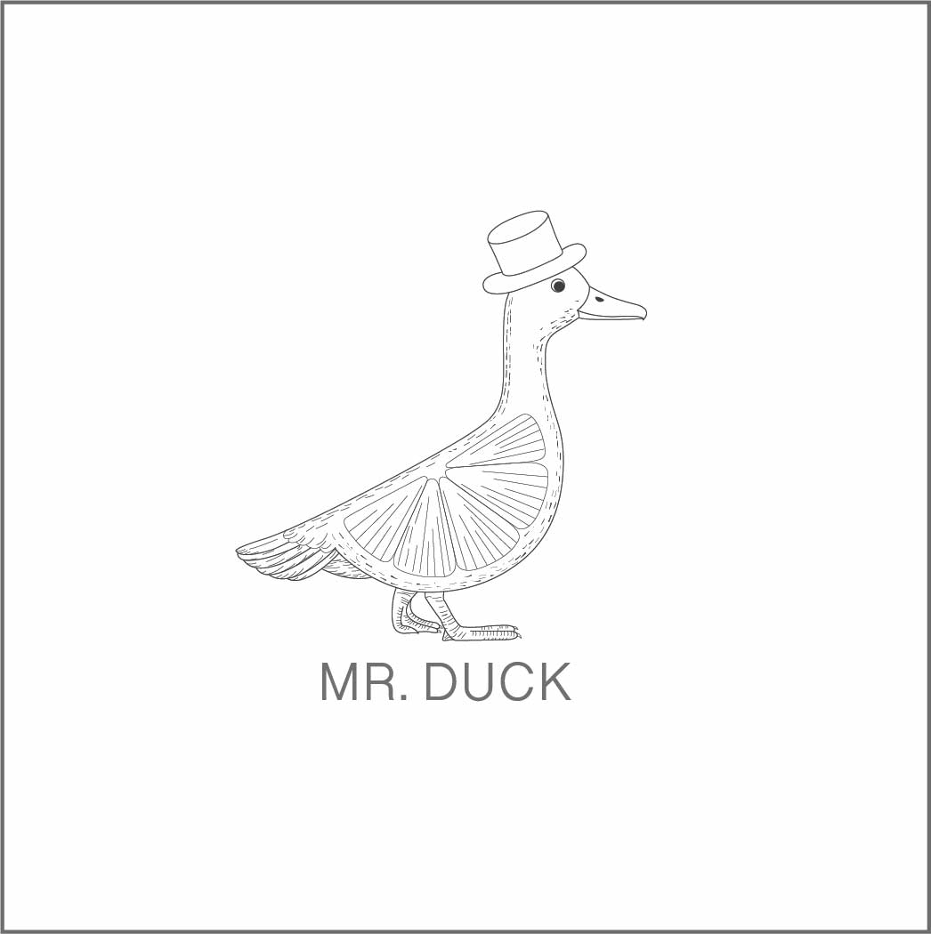 Mr. duck