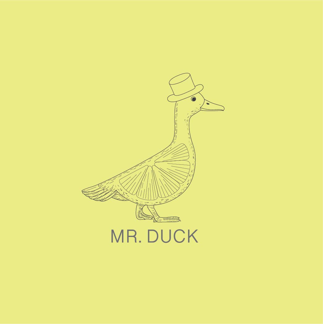 Mr. duck